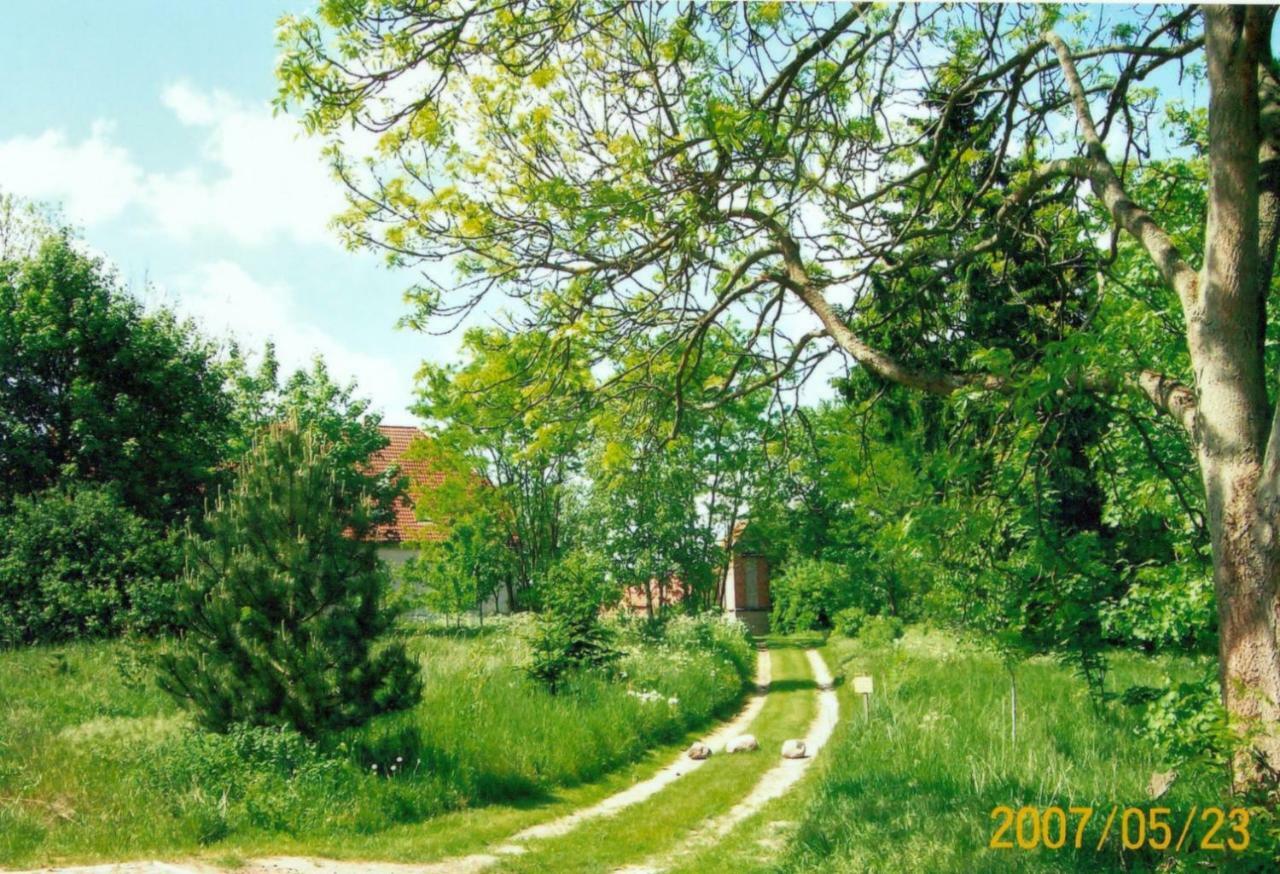 Gutshaus Alt-Jargenow Apartment Alt Jargenow Luaran gambar